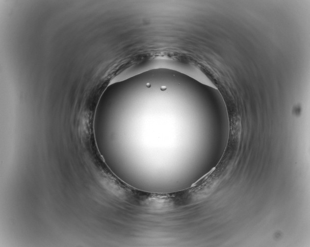X0000099490280200805221345
