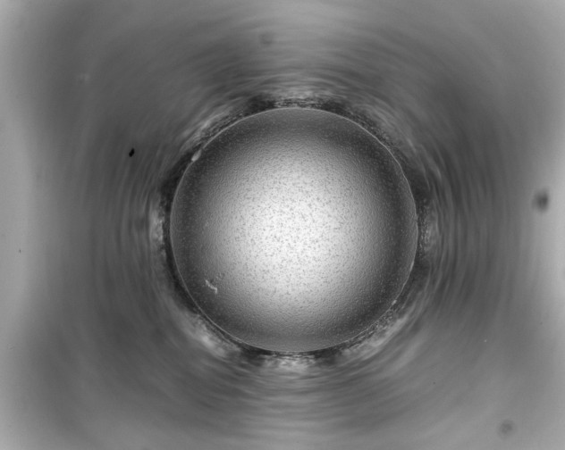 X0000099490282200805221345