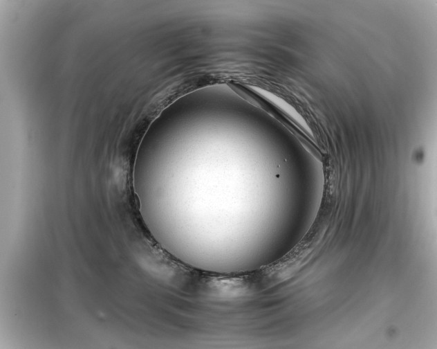 X0000099490283200805221345