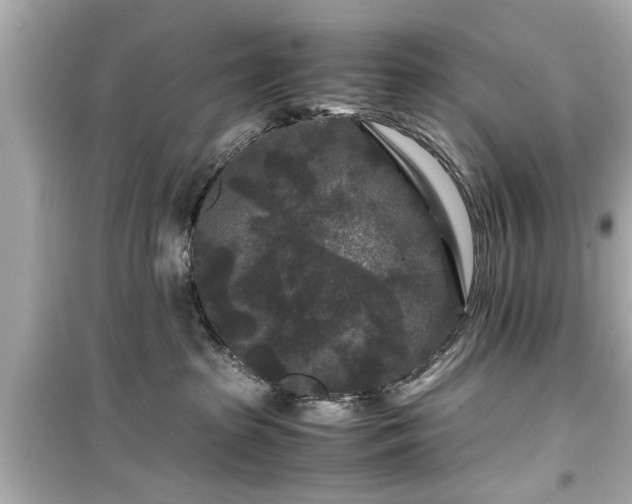 X0000099490285200805221345