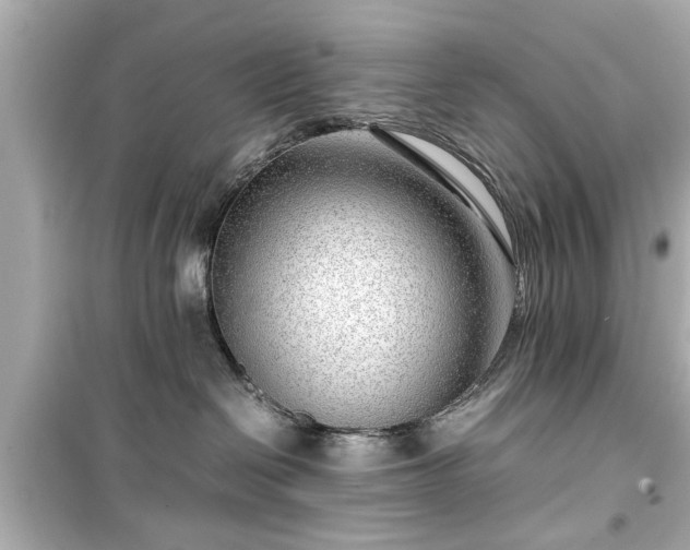 X0000099490286200805221345
