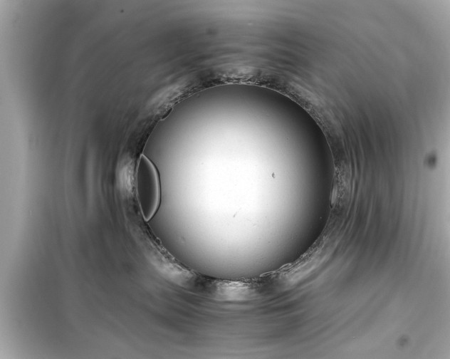 X0000099490287200805221345