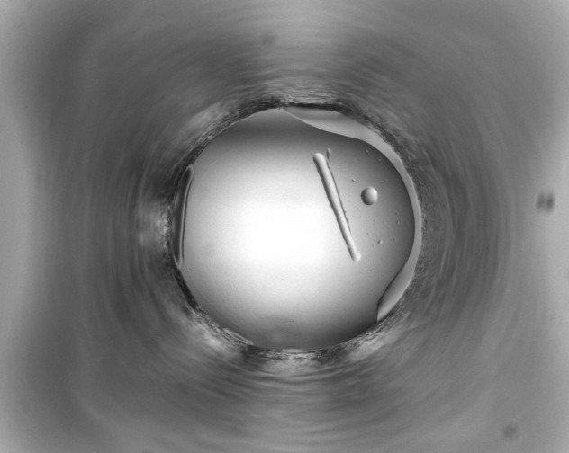 X0000099490288200805221345
