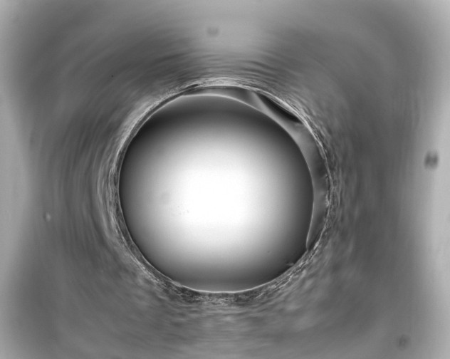 X0000099490289200805221344