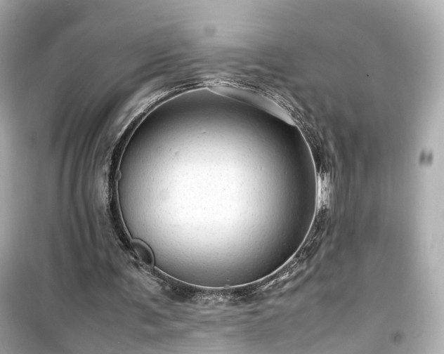 X0000099490291200805221344