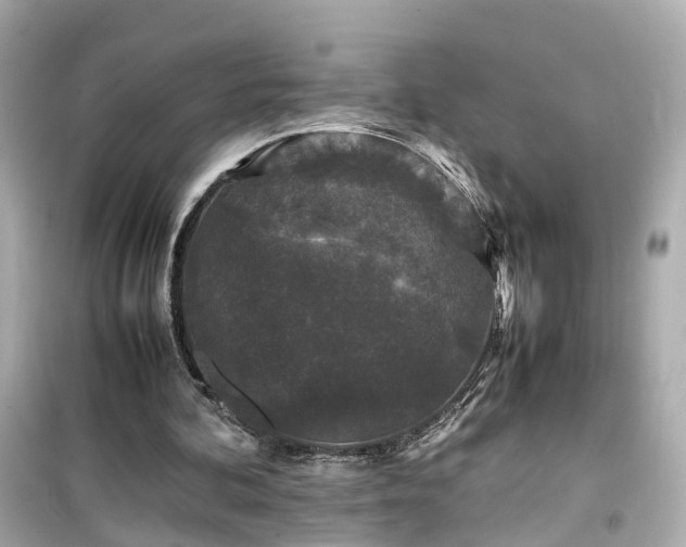 X0000099490292200805221344