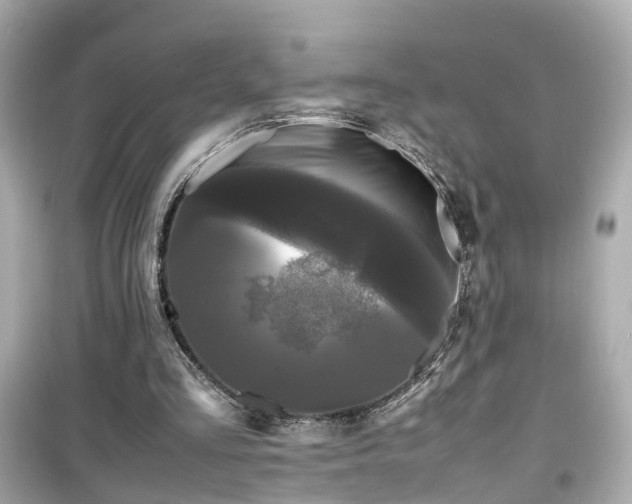 X0000099490293200805221344