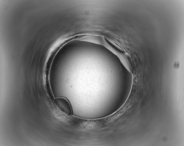 X0000099490294200805221344