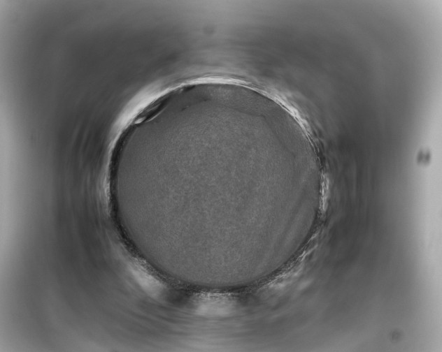 X0000099490296200805221344