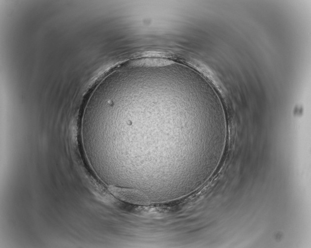 X0000099490297200805221344
