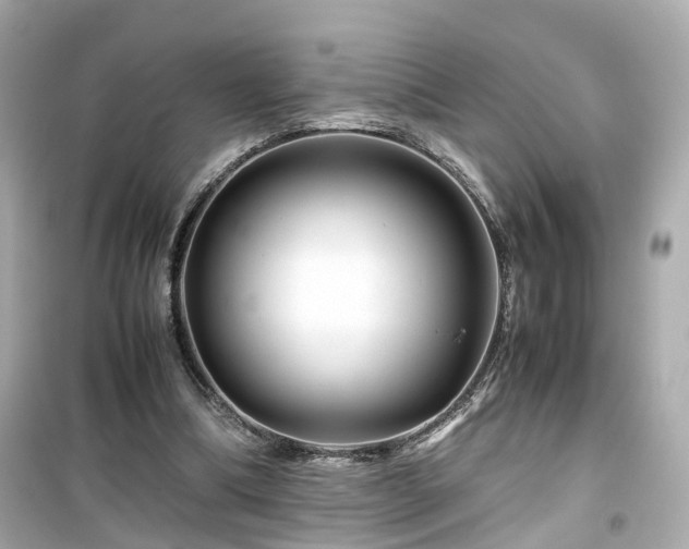 X0000099490298200805221344