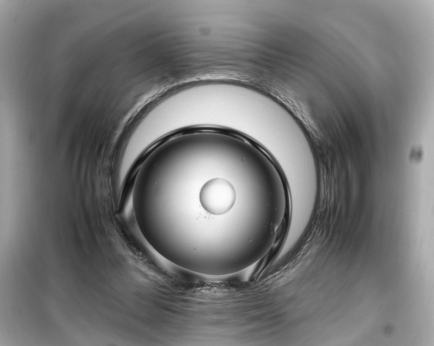 X0000099490300200805221344