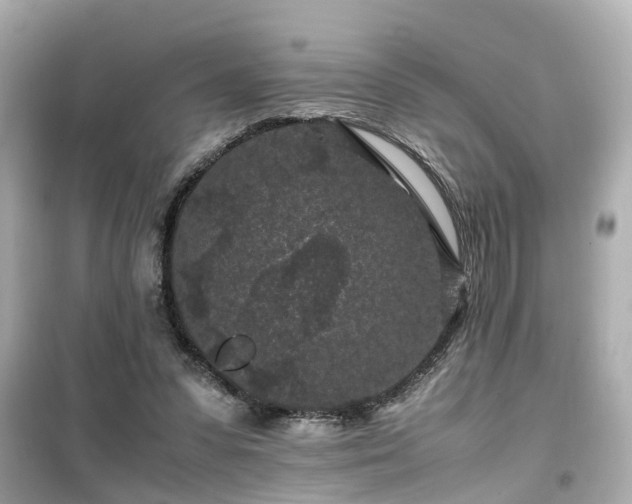 X0000099490303200805221344