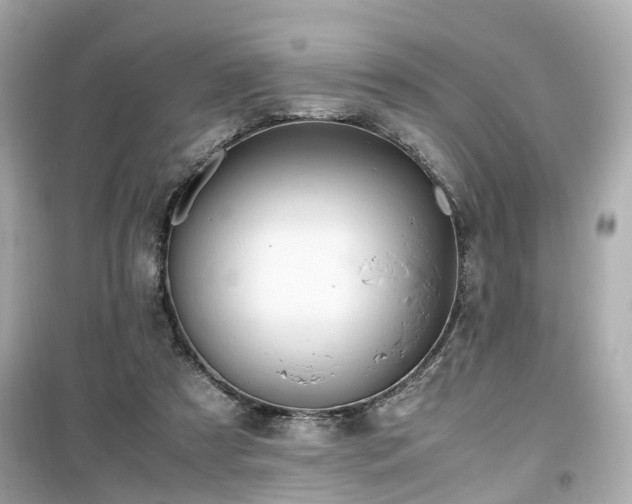 X0000099490305200805221344