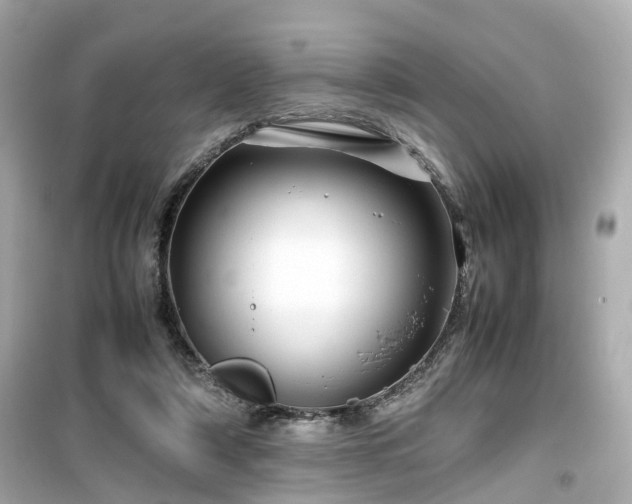 X0000099490306200805221344