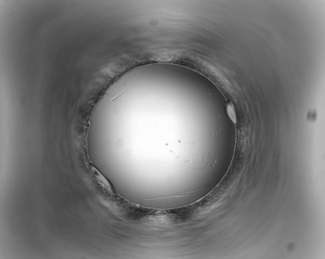 X0000099490307200805221344