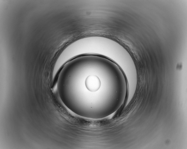 X0000099490308200805221344