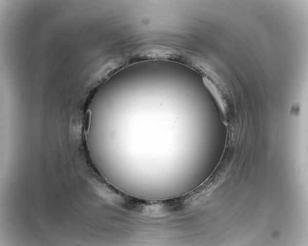 X0000099490309200805221344