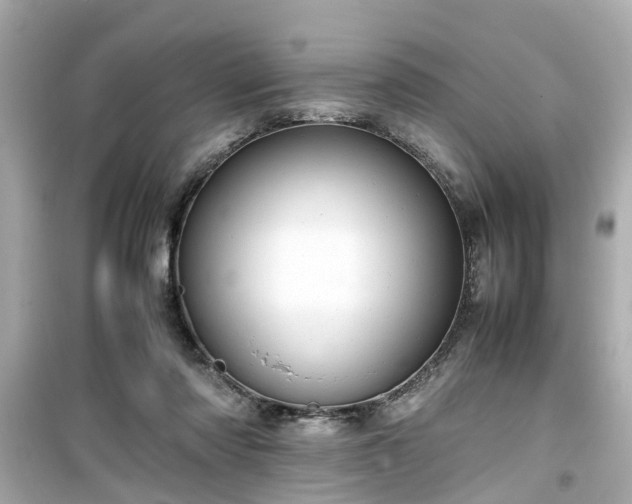 X0000099490310200805221344
