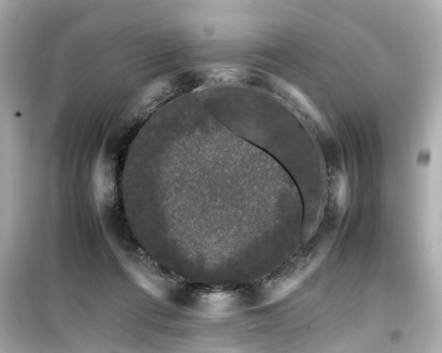 X0000099490312200805221344
