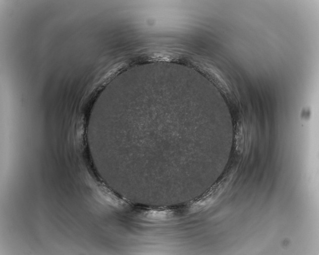 X0000099490314200805221344