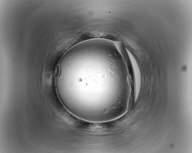 X0000099490315200805221344
