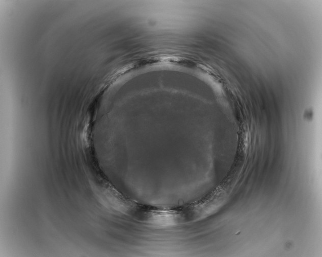 X0000099490316200805221344