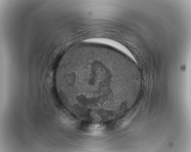 X0000099490319200805221344