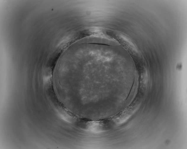 X0000099490320200805221344