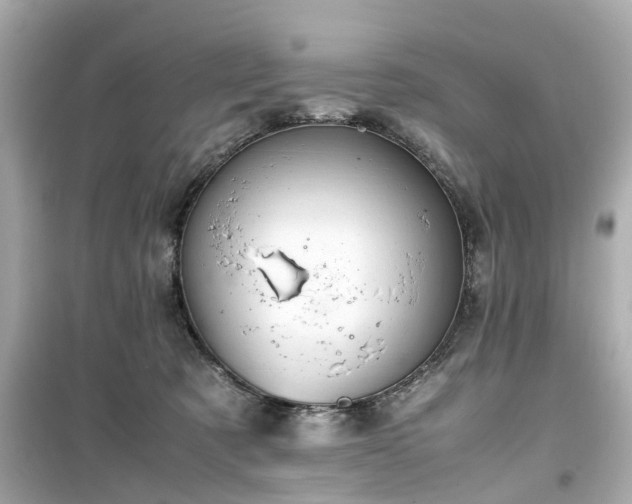 X0000099490321200805221344