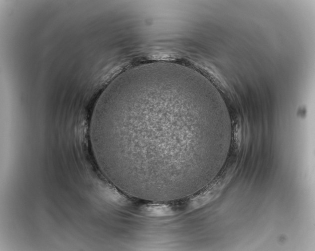 X0000099490322200805221344