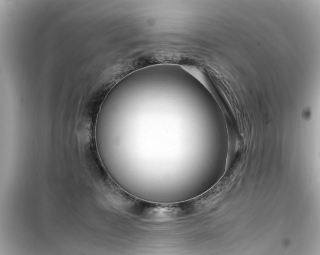X0000099490323200805221344