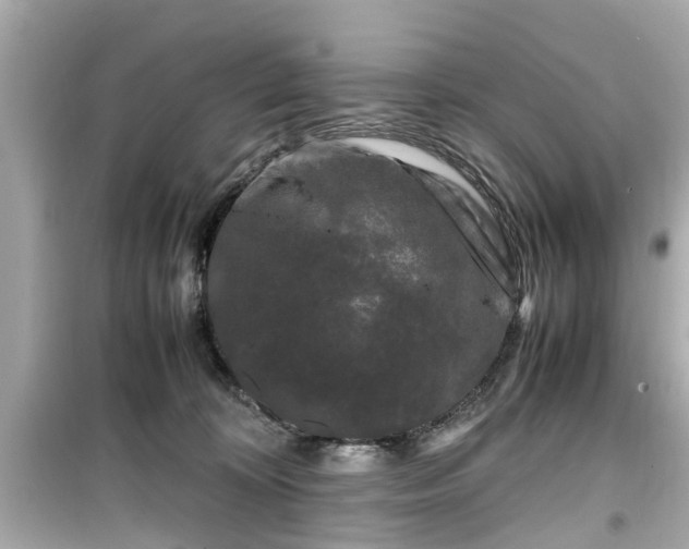 X0000099490324200805221344