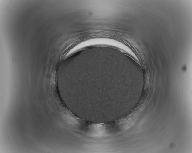X0000099490325200805221344