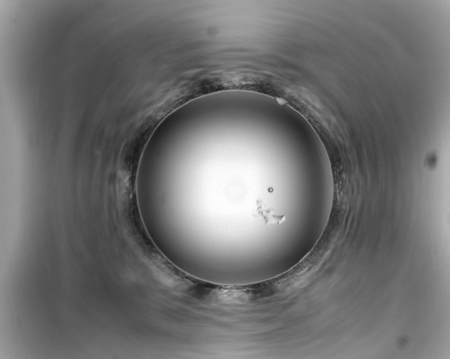 X0000099490327200805221344