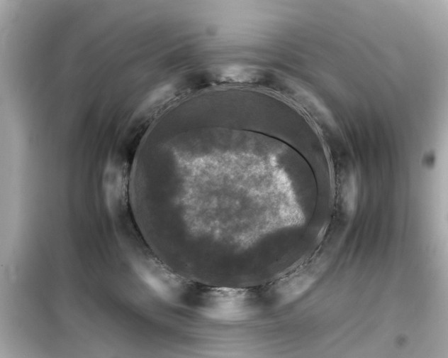 X0000099490328200805221344