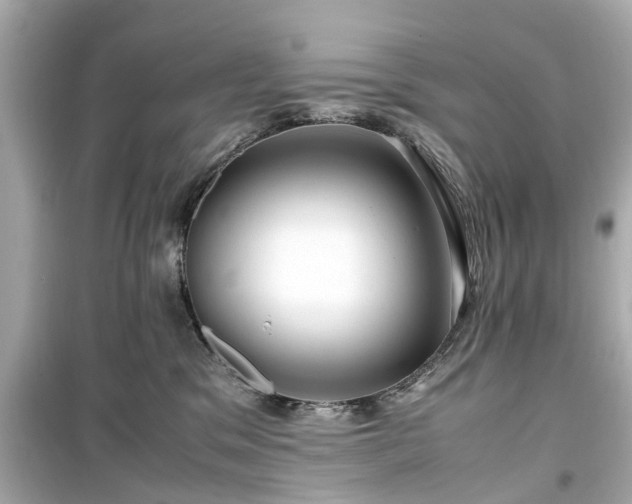 X0000099490329200805221344