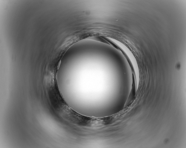 X0000099490333200805221343