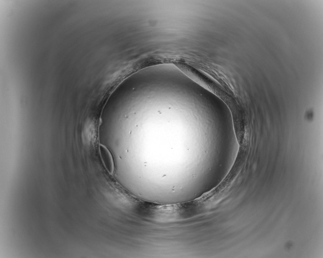 X0000099490335200805221343