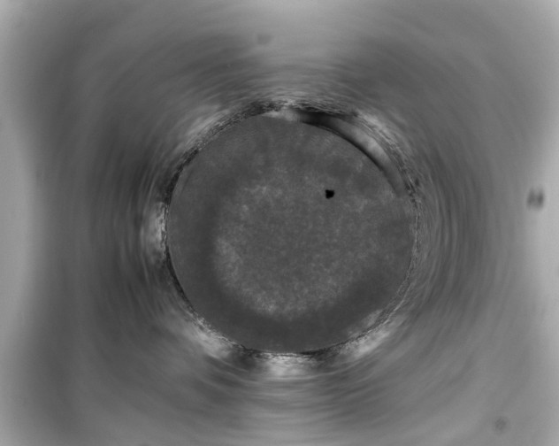 X0000099490336200805221343