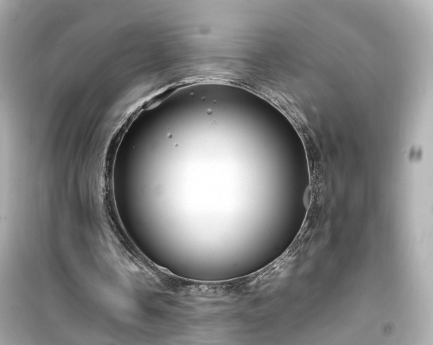 X0000099490338200805221343