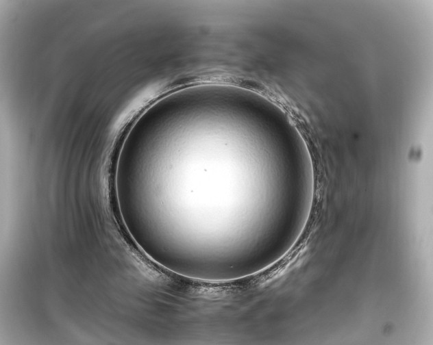 X0000099490341200805221343