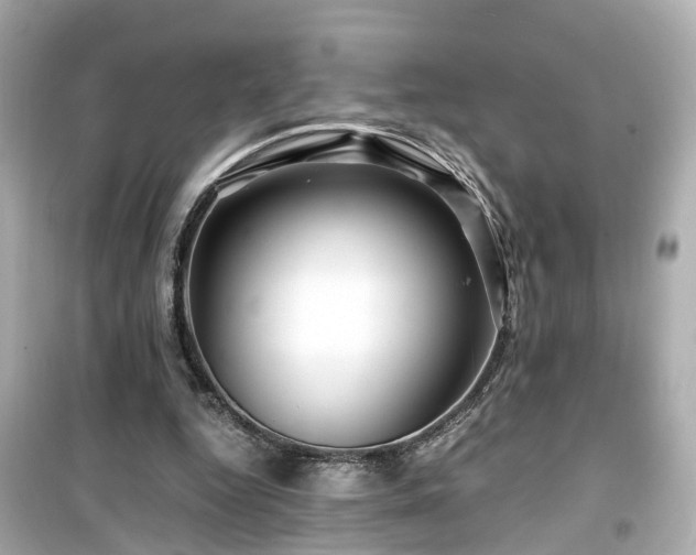 X0000099490344200805221343