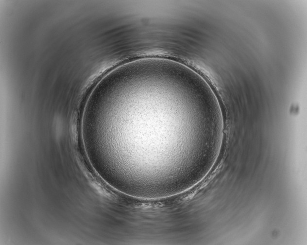 X0000099490345200805221343