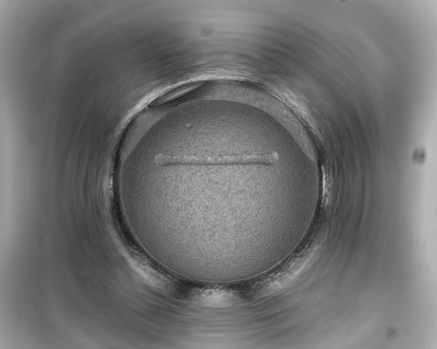 X0000099490348200805221343