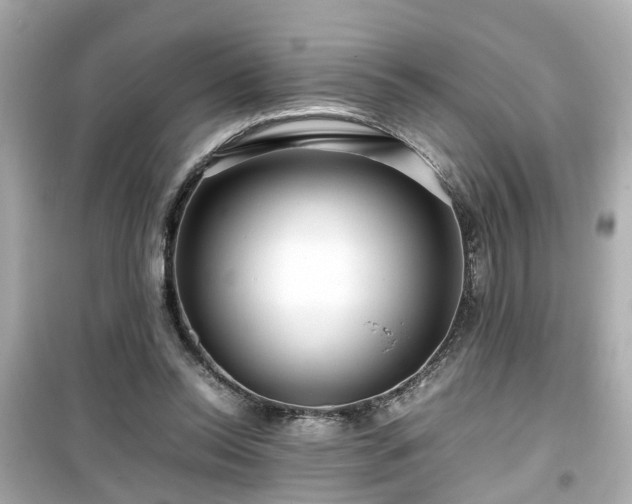 X0000099490350200805221343