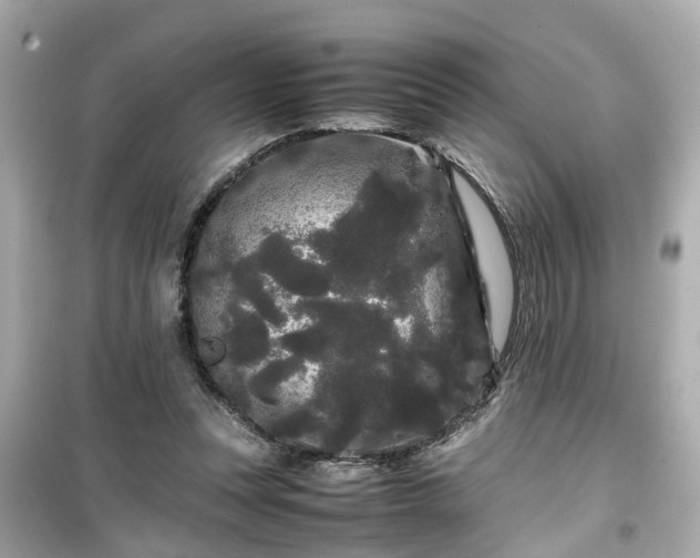 X0000099490351200805221343