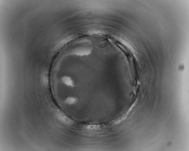 X0000099490353200805221343