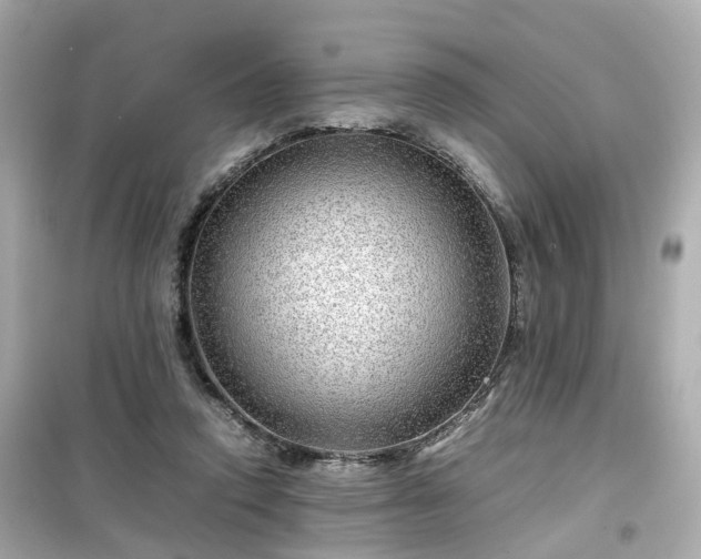 X0000099490354200805221343