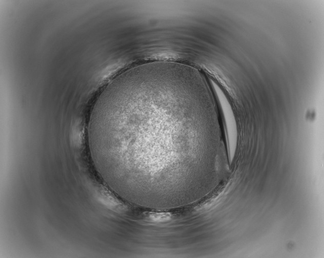 X0000099490355200805221343
